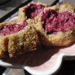 Hallonkakor - Baka Sockerfritt