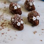 Chokladbollsigelkottar - Baka Sockerfritt