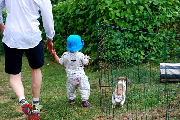 Miniresa #2 i sommar - Julita, bär och kaniner - Baka Sockerfritt