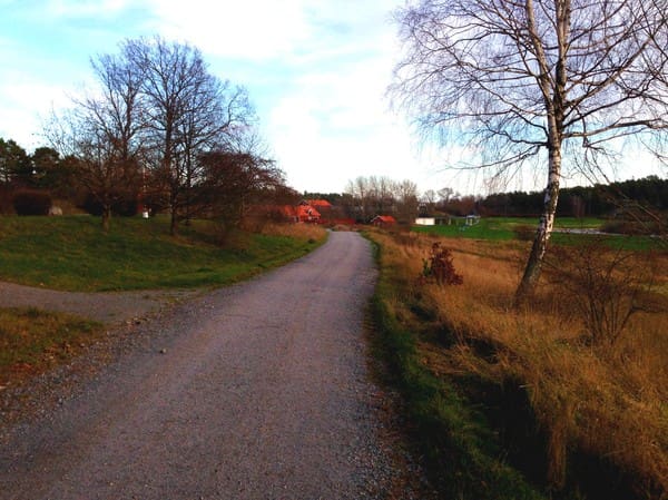 Livspussel - Baka Sockerfritt